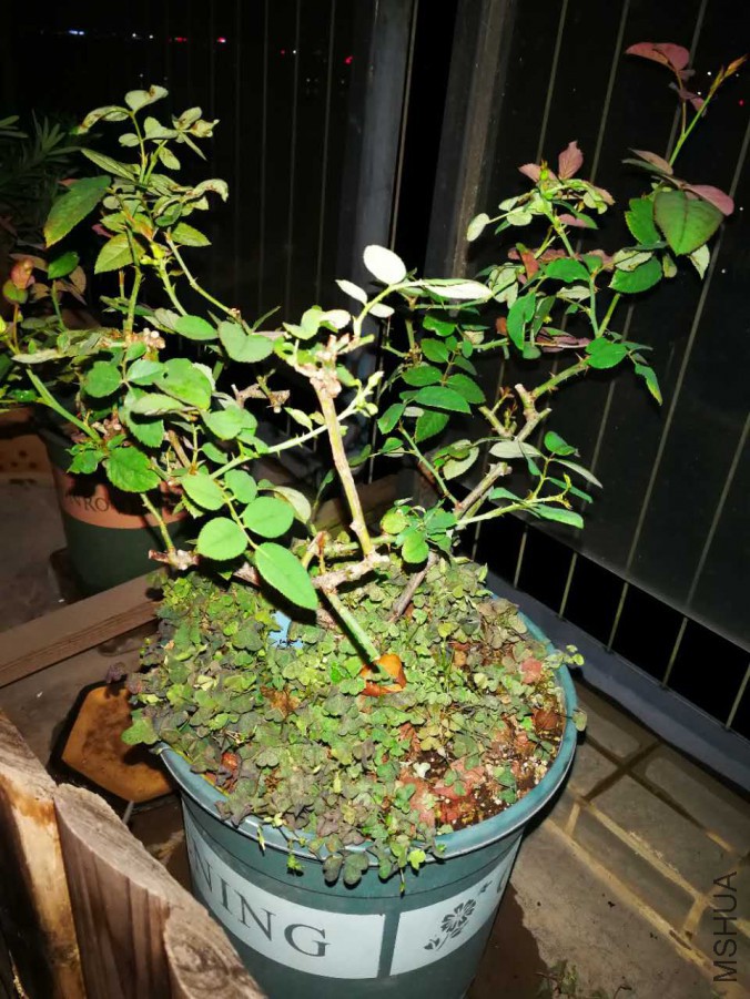 2016317467.jpg