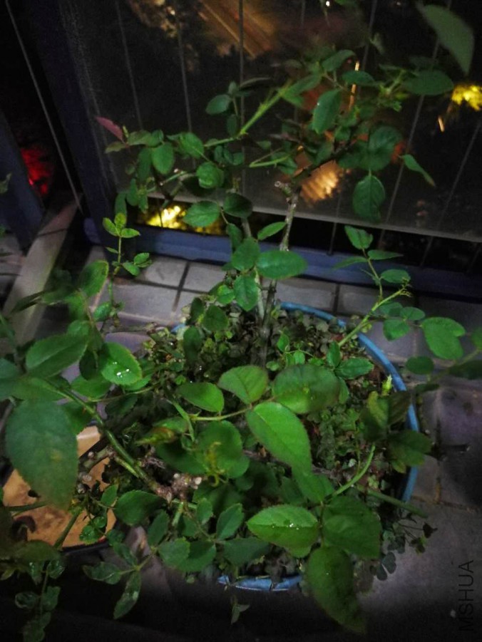 1655081718.jpg