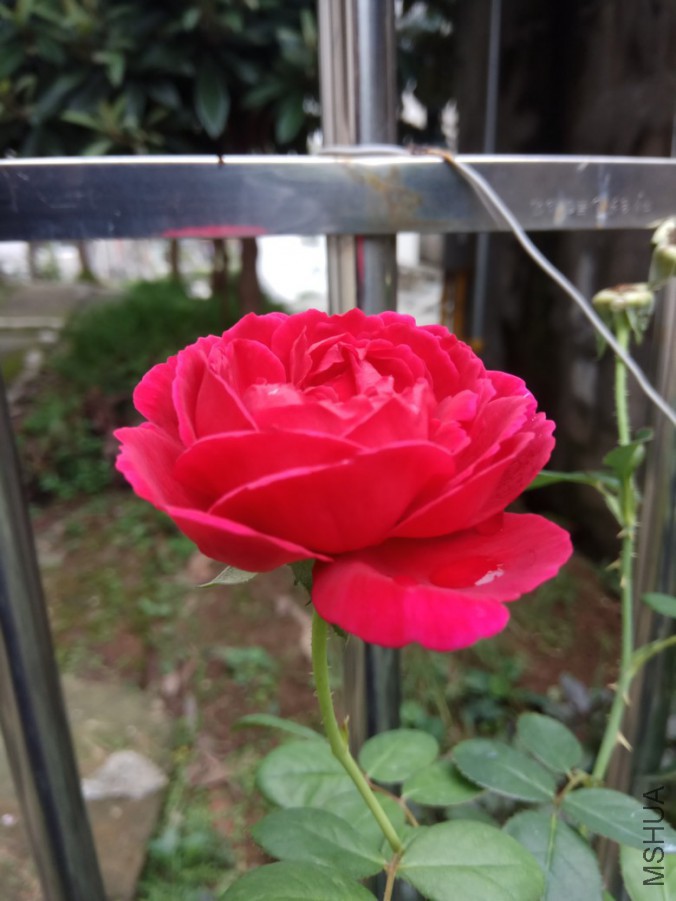 IMG_20170905_082810.jpg