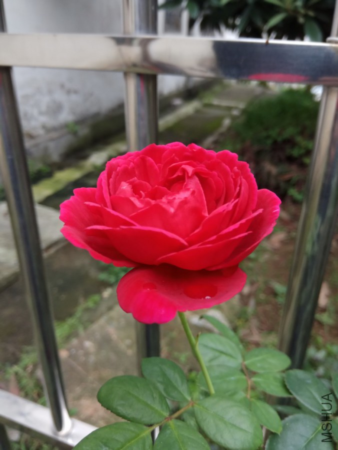 IMG_20170905_082752.jpg