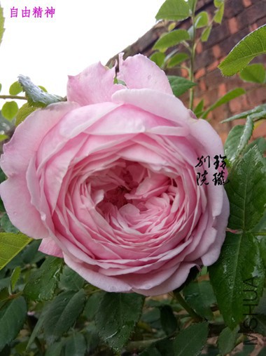 6.���ɾ���.jpg