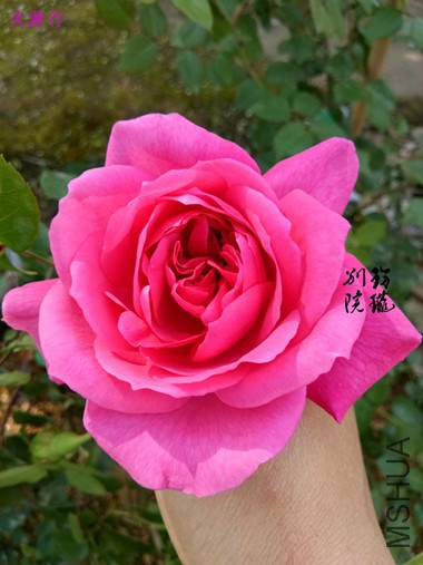 12.����  ��.jpg