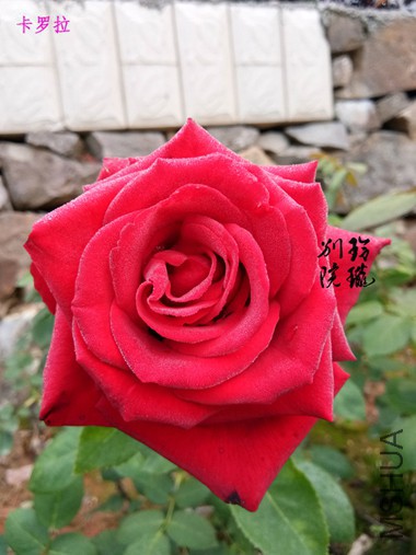 14.������.jpg
