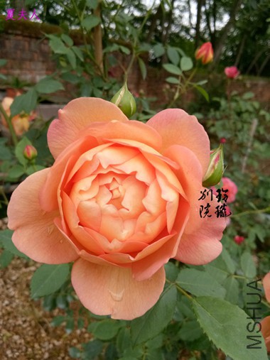 28.�ķ���.jpg