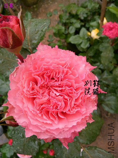 48.����.jpg