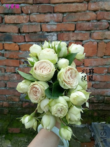 55.�ɰ���.jpg