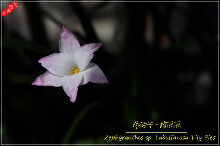 DSC_8499.jpg