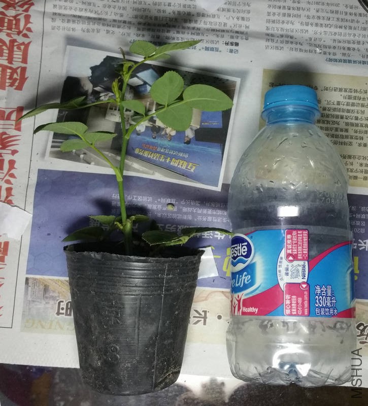 20170912_183228.jpg