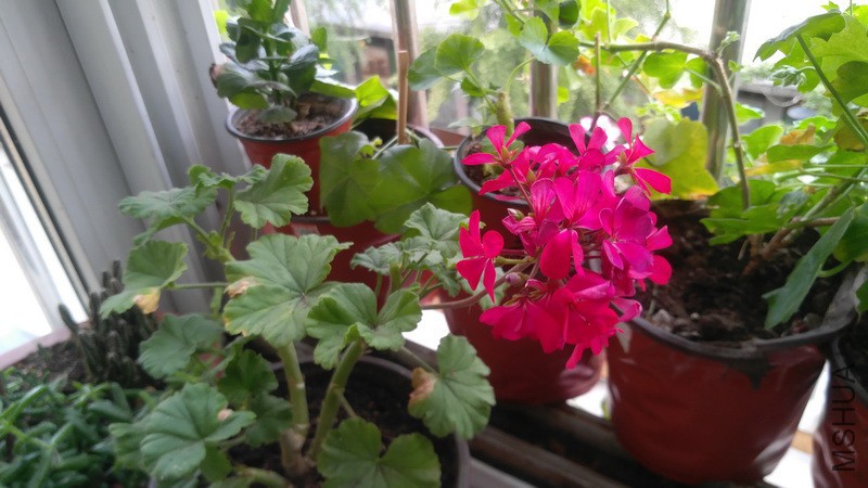 20170916_2.jpg