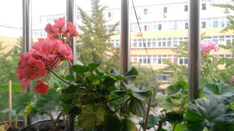 20170916_3.jpg
