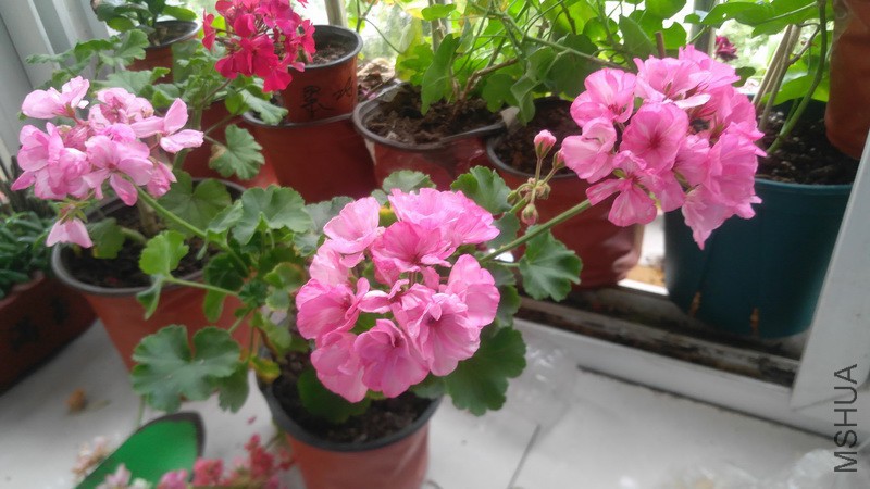 20170916_1.jpg
