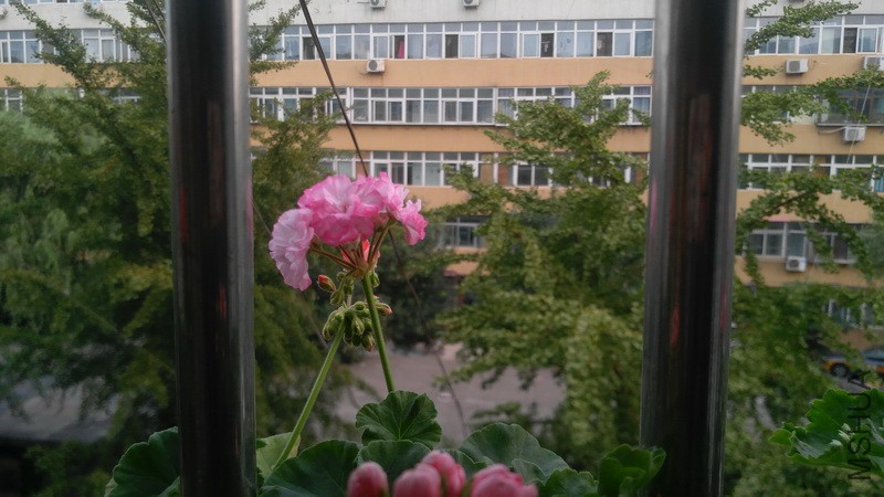 20170916_4.jpg