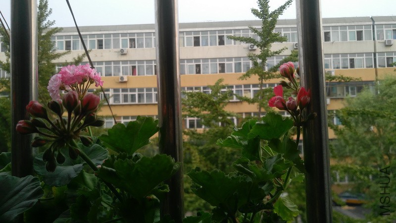 20170916_5.jpg