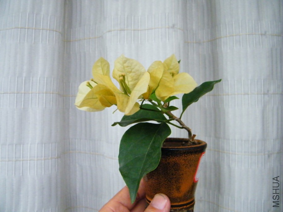 2017 08 22 007.jpg