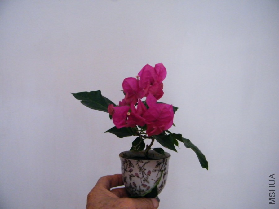 2017 08 22 026.jpg