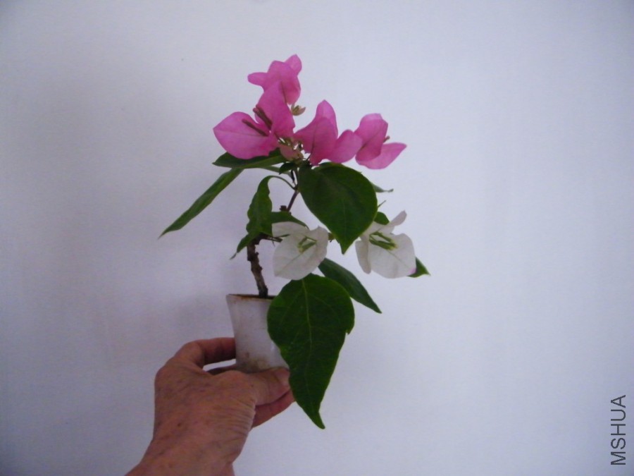 2017 08 22 036.jpg