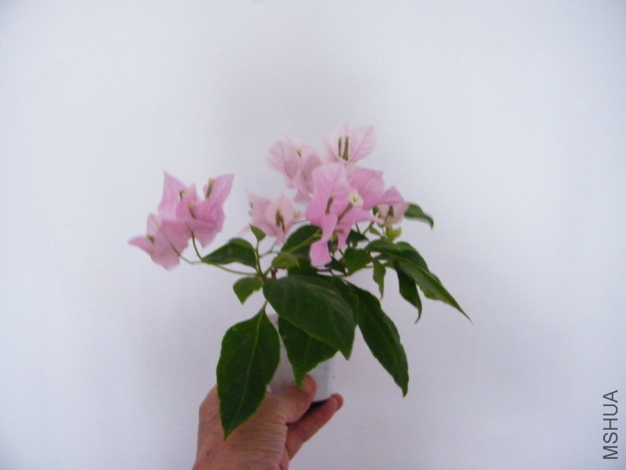 2017 08 22 038.jpg