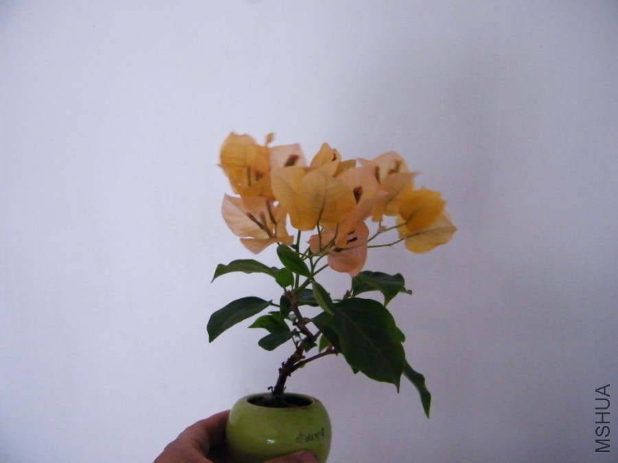 2017 08 22 043.jpg