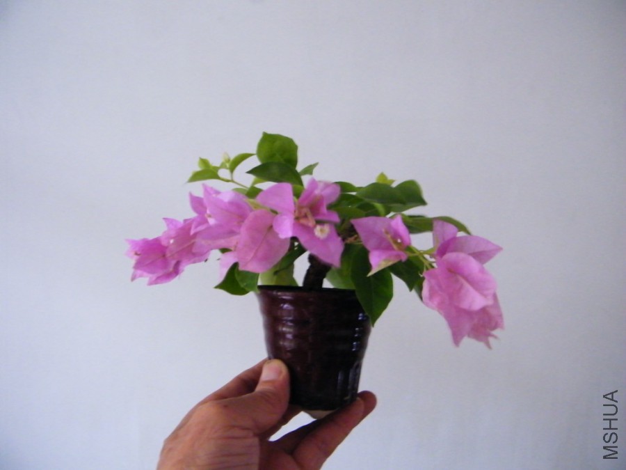 2017 08 22 050.jpg