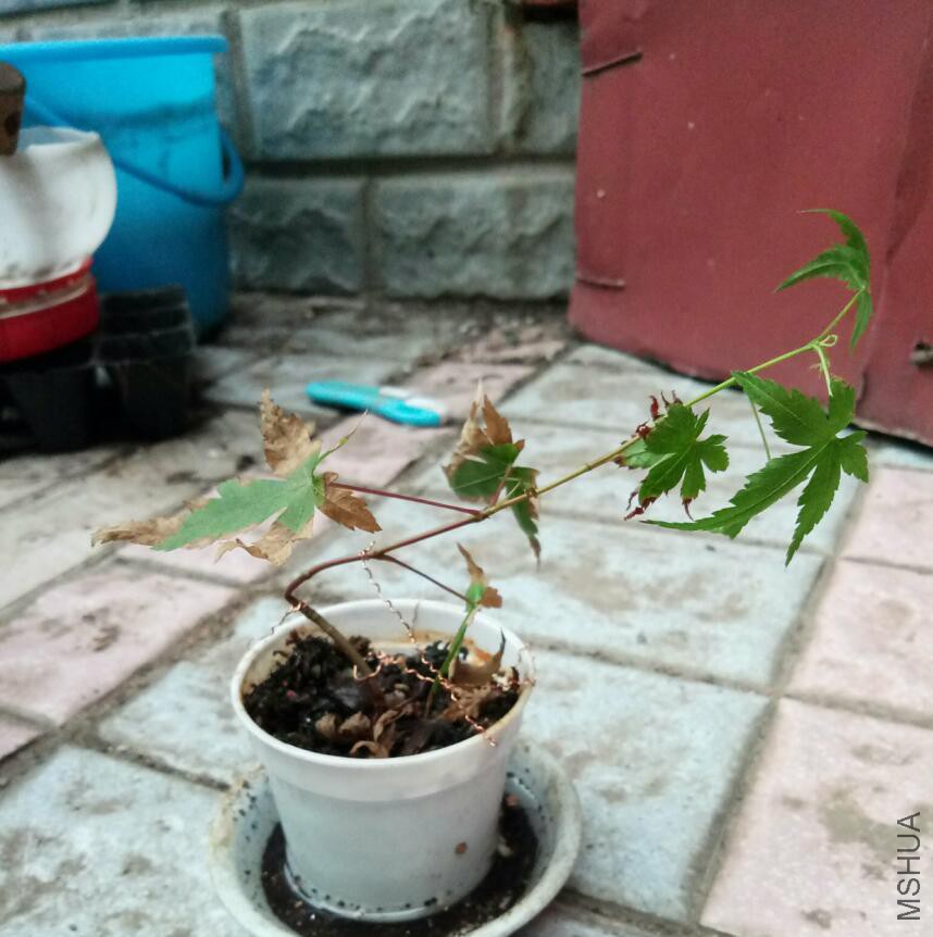 QQ��ͼ20170918174729.jpg