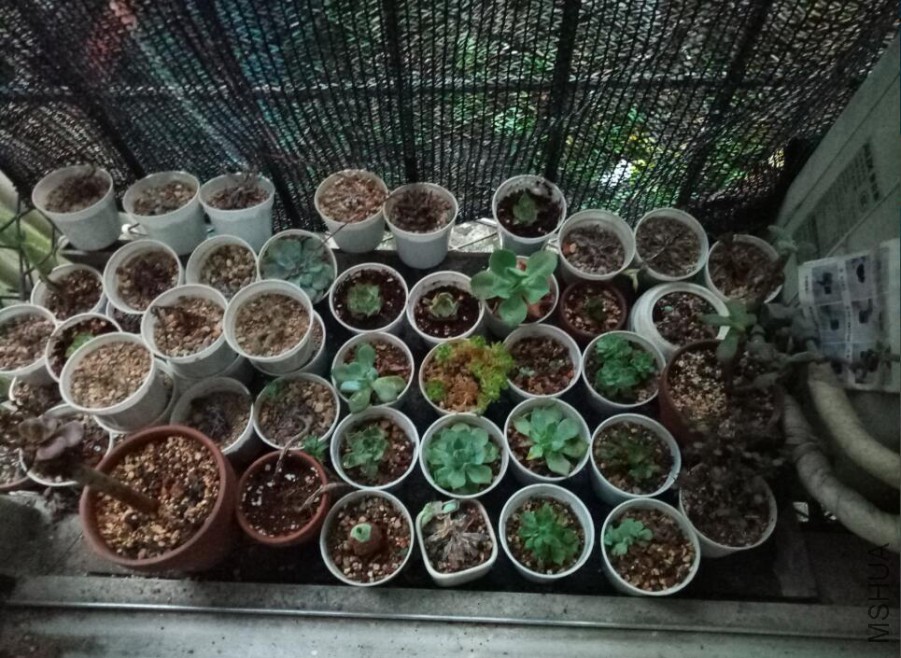 QQ��ͼ20170918180229.jpg
