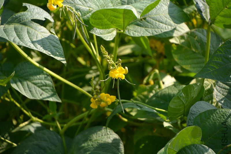 DSC_11430157.JPG