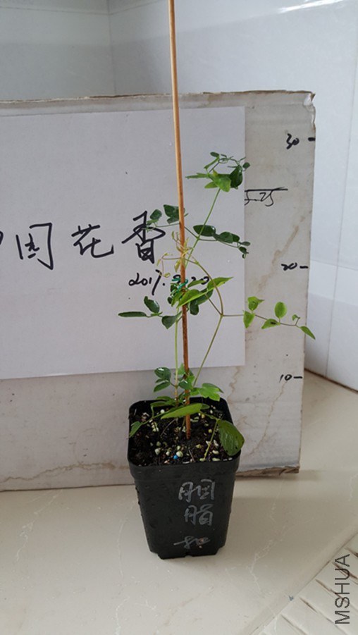 20170921_081004.jpg