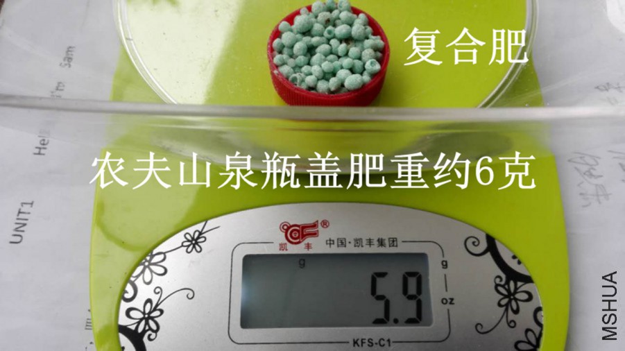 AAAA2.jpg