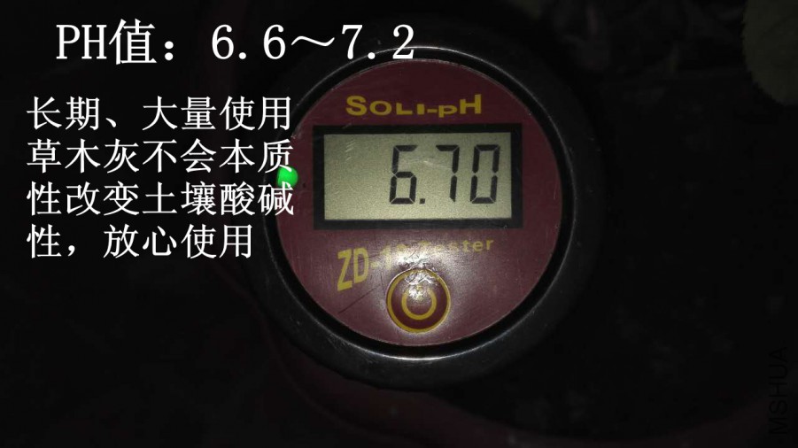 02.jpg