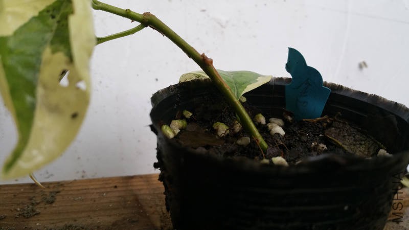 20170925_125640.jpg