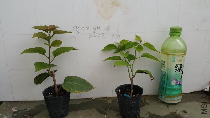 20170926_123003.jpg