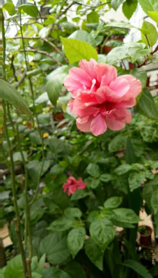 ΢��ͼƬ_20170927113836.jpg