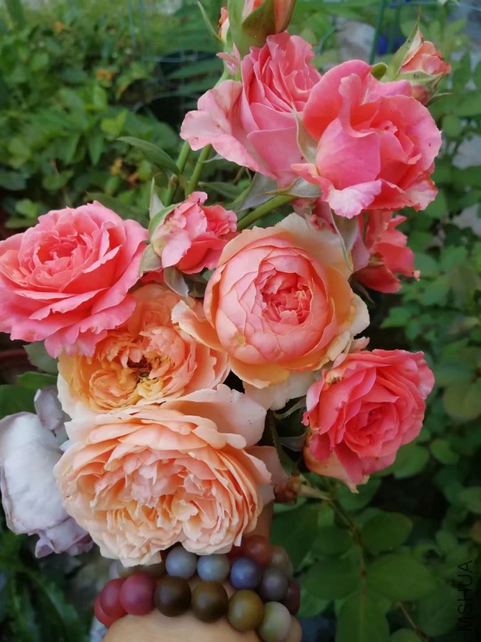 psb (7).jpg