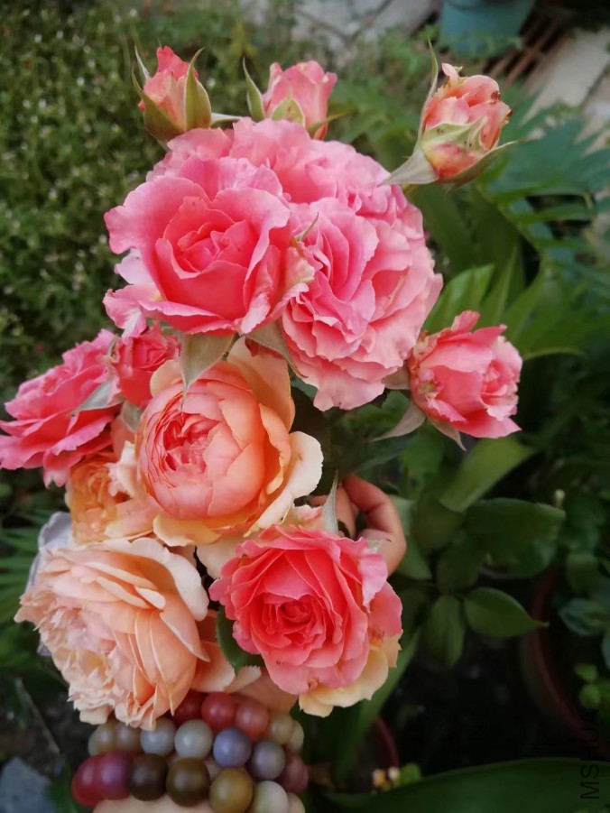 psb (10).jpg