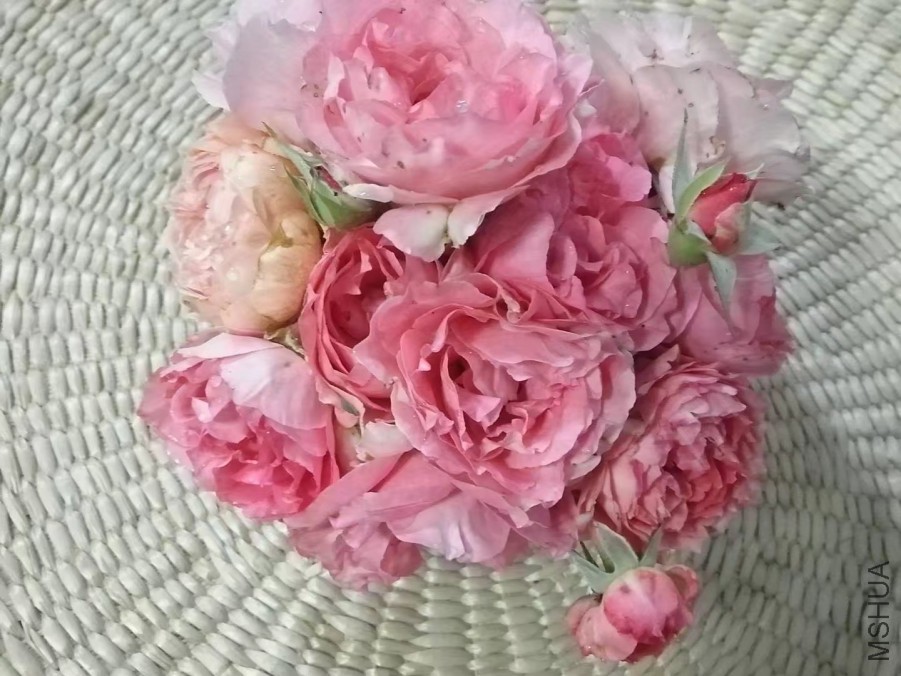 psb (29).jpg