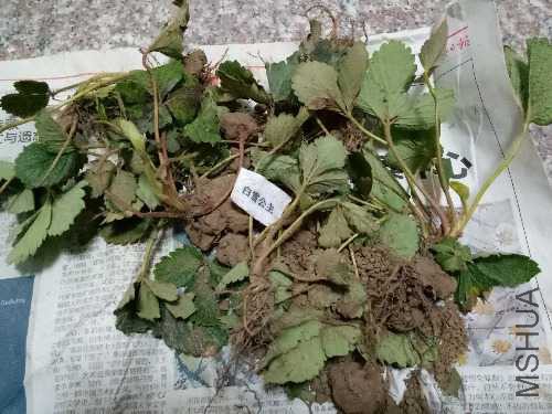 IMG20170927194400.jpg