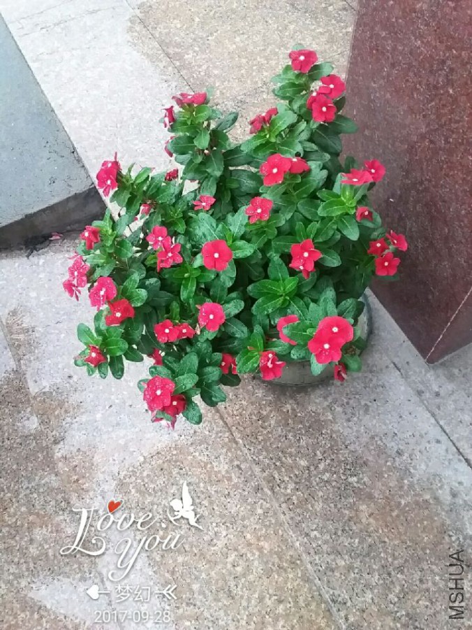 QQͼƬ20170928082649.jpg