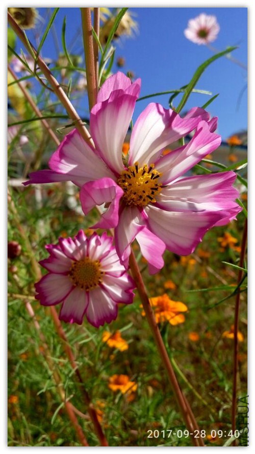 QQͼƬ20170928100603.jpg