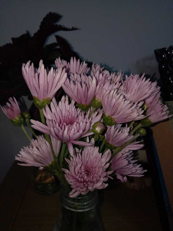 IMG20170928183540.jpg