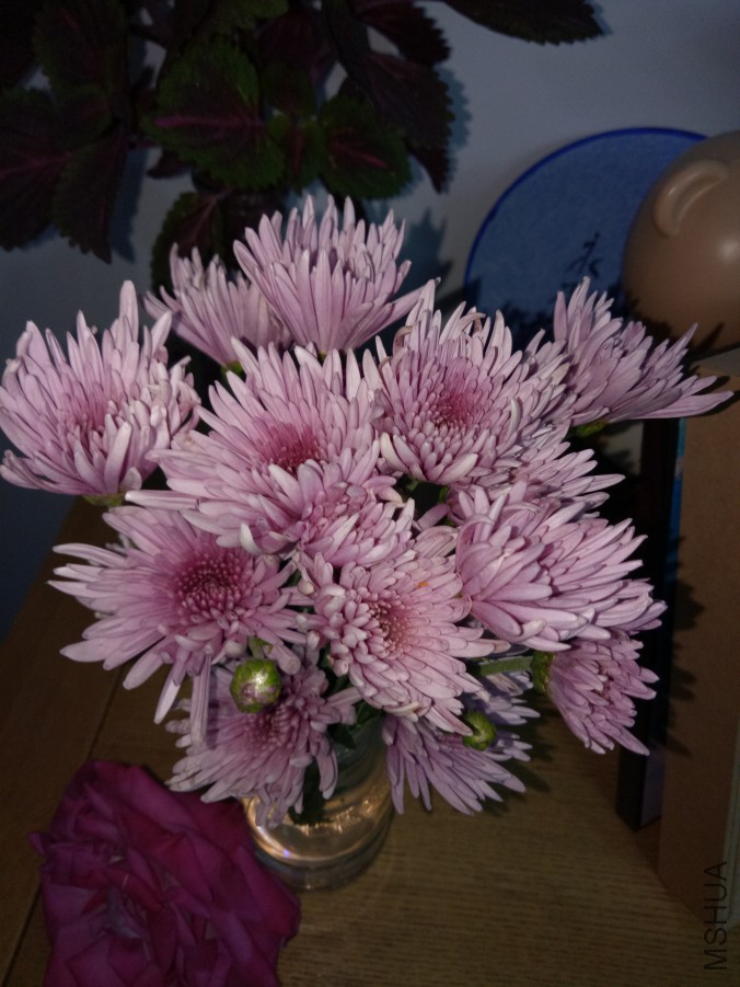 IMG20170928183431.jpg