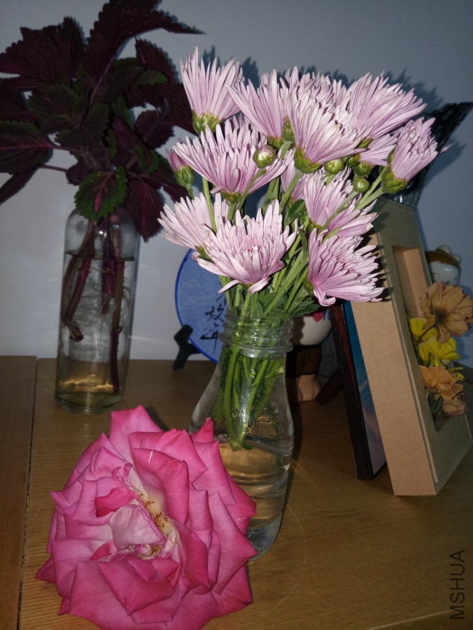IMG20170928183314.jpg