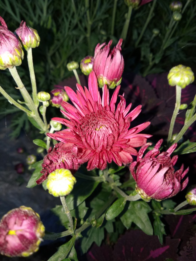 IMG20170928181618.jpg