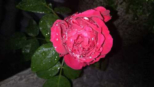 IMG20170927205548.jpg
