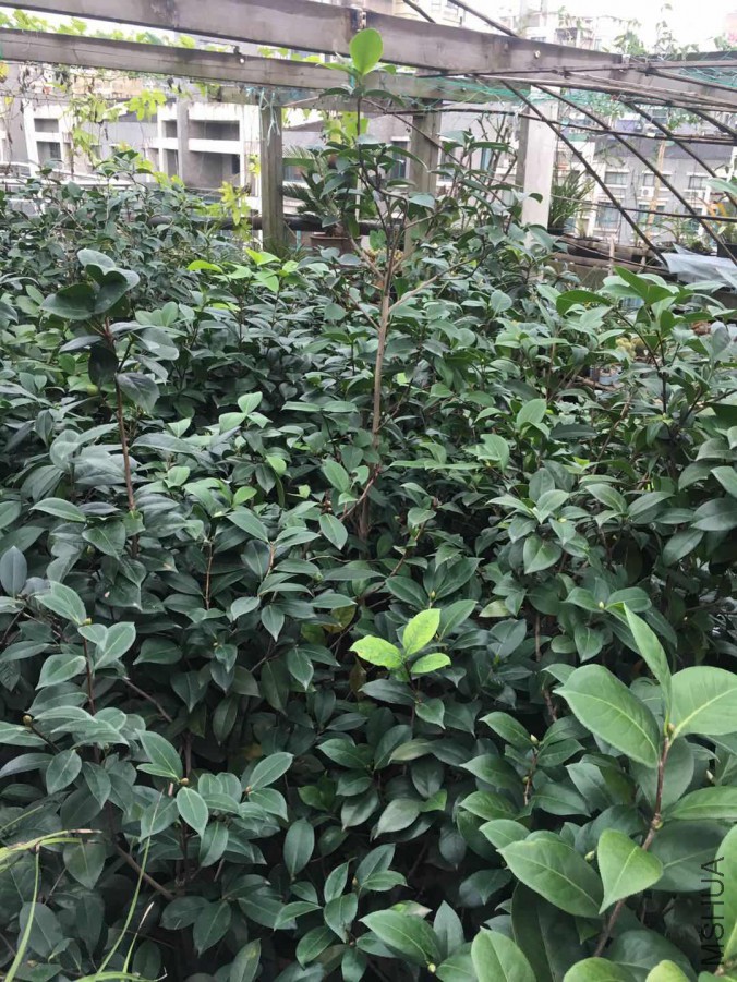΢��ͼƬ_20170929082338.jpg
