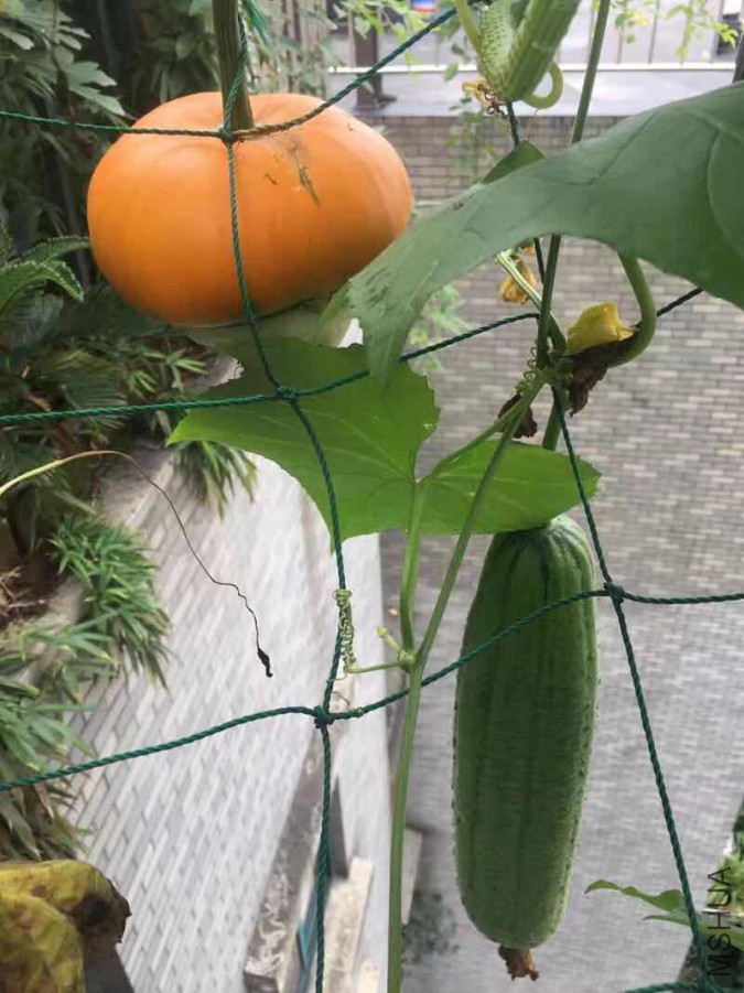 ΢��ͼƬ_20170930074909.jpg