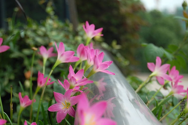 DSC_75070031.JPG