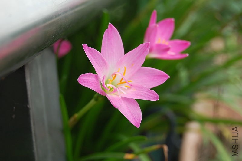 DSC_75010025.JPG