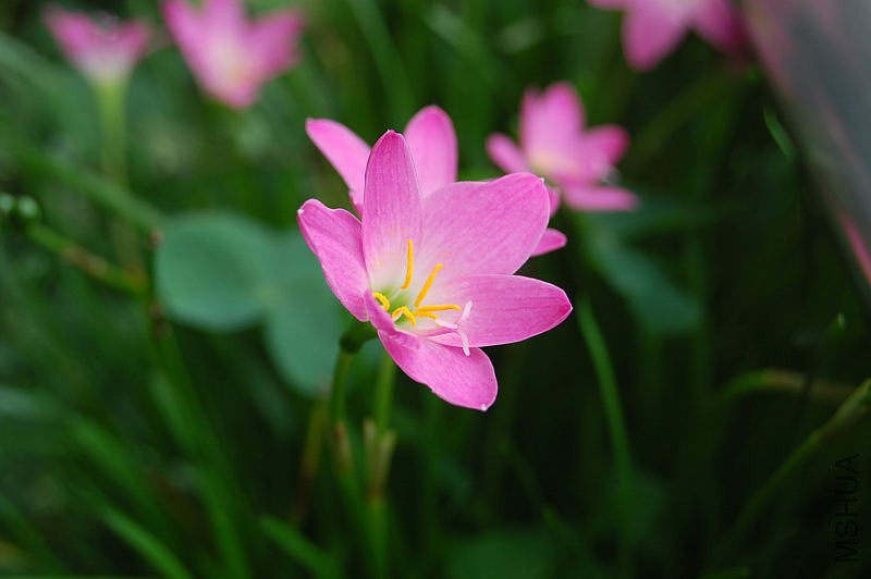 DSC_74850009.JPG