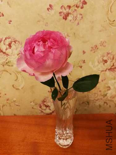 IMG_20170930_194424.jpg