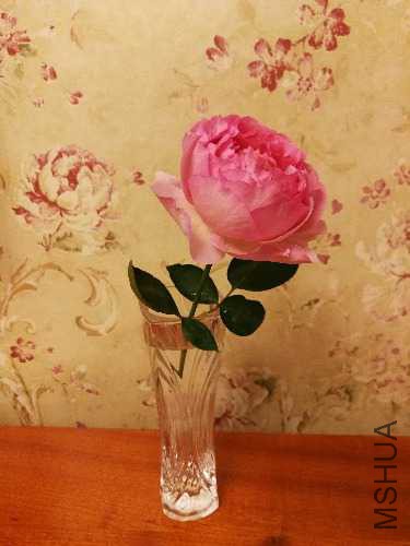 IMG_20170930_194531.jpg